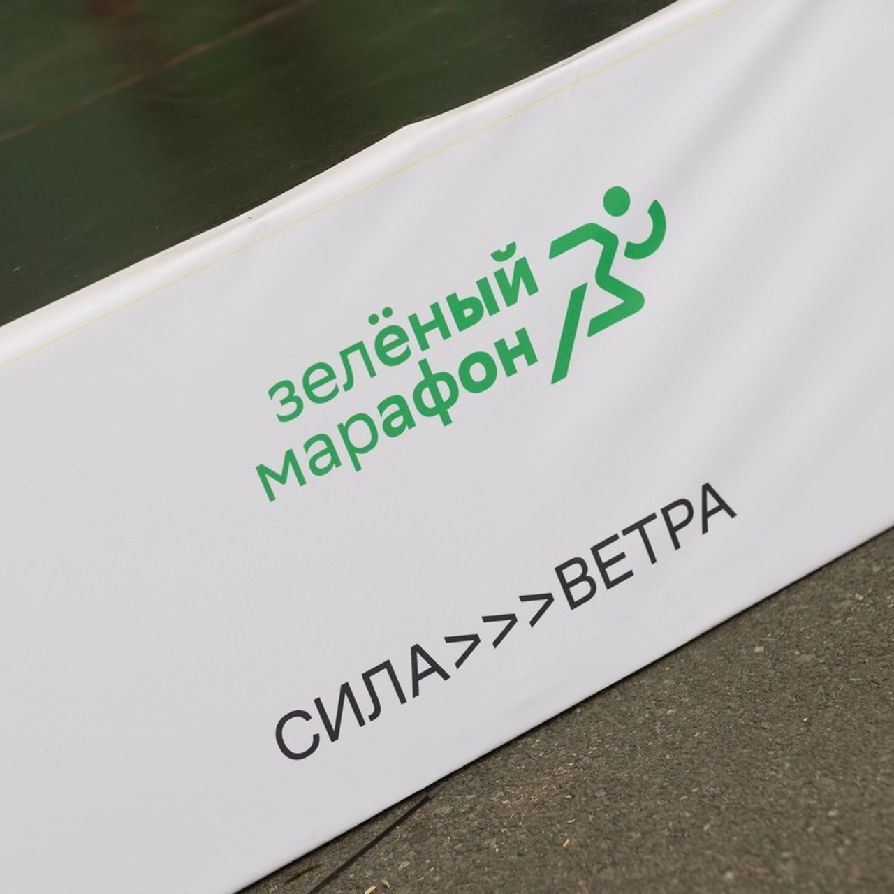 Отзывы. Maxim Tsoy Photography