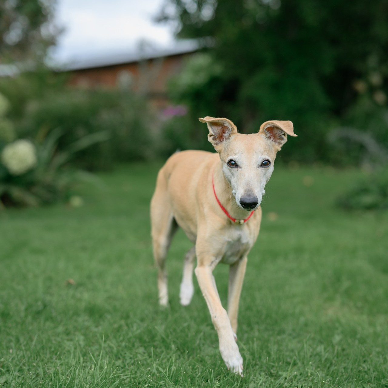 Отзывы. Семейный фотограф и анималист в Москве и Московской области