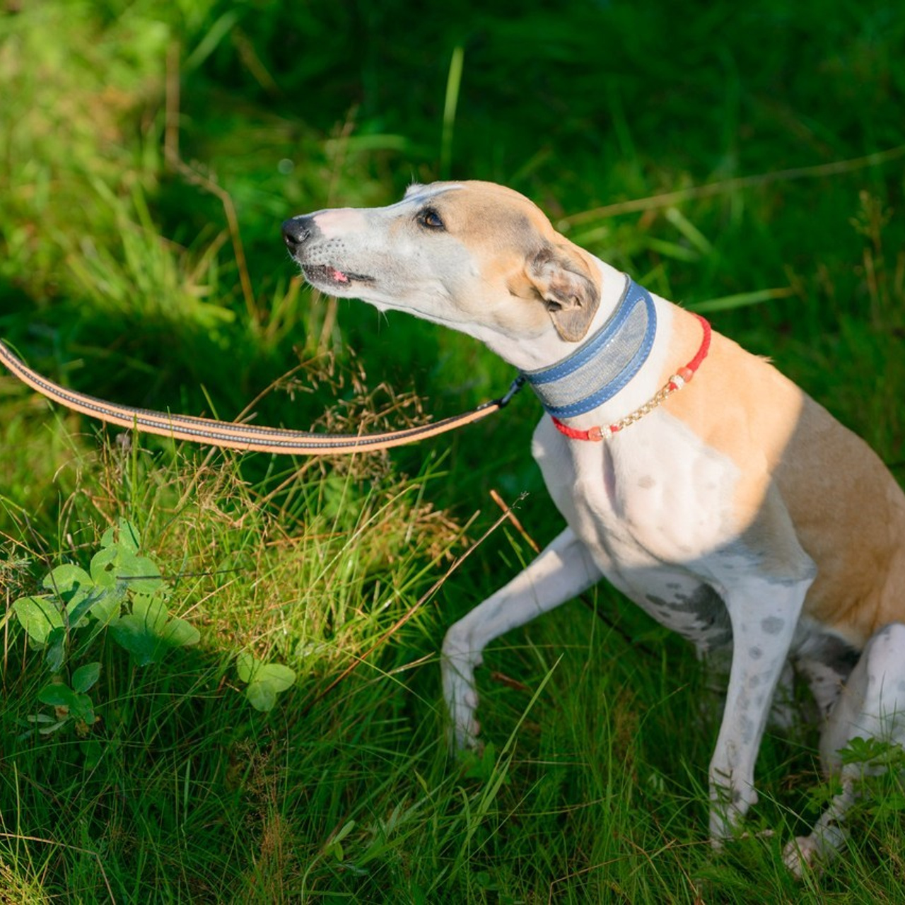 Отзывы. Семейный фотограф и анималист в Москве и Московской области
