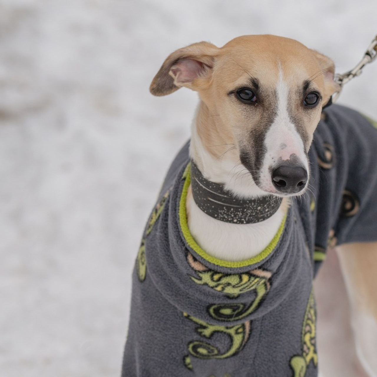 Отзывы. Семейный фотограф и анималист в Москве и Московской области