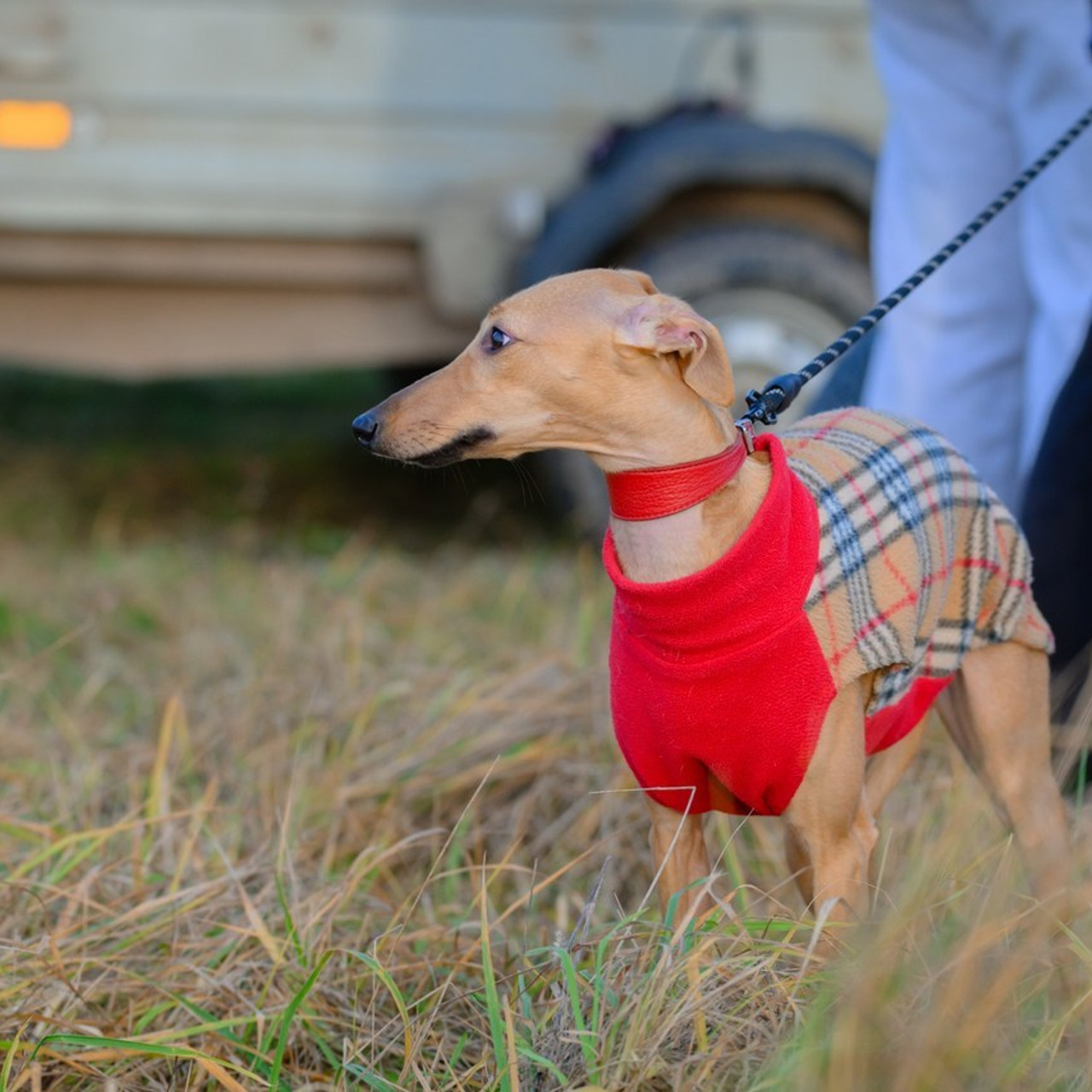 Отзывы. Семейный фотограф и анималист в Москве и Московской области