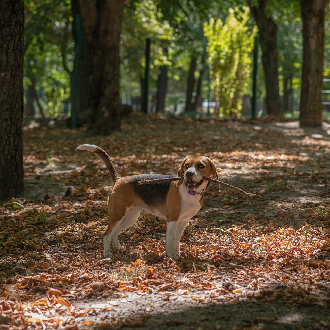 Отзывы. Фотограф Наталия Шляпина в Ростове-на-Дону