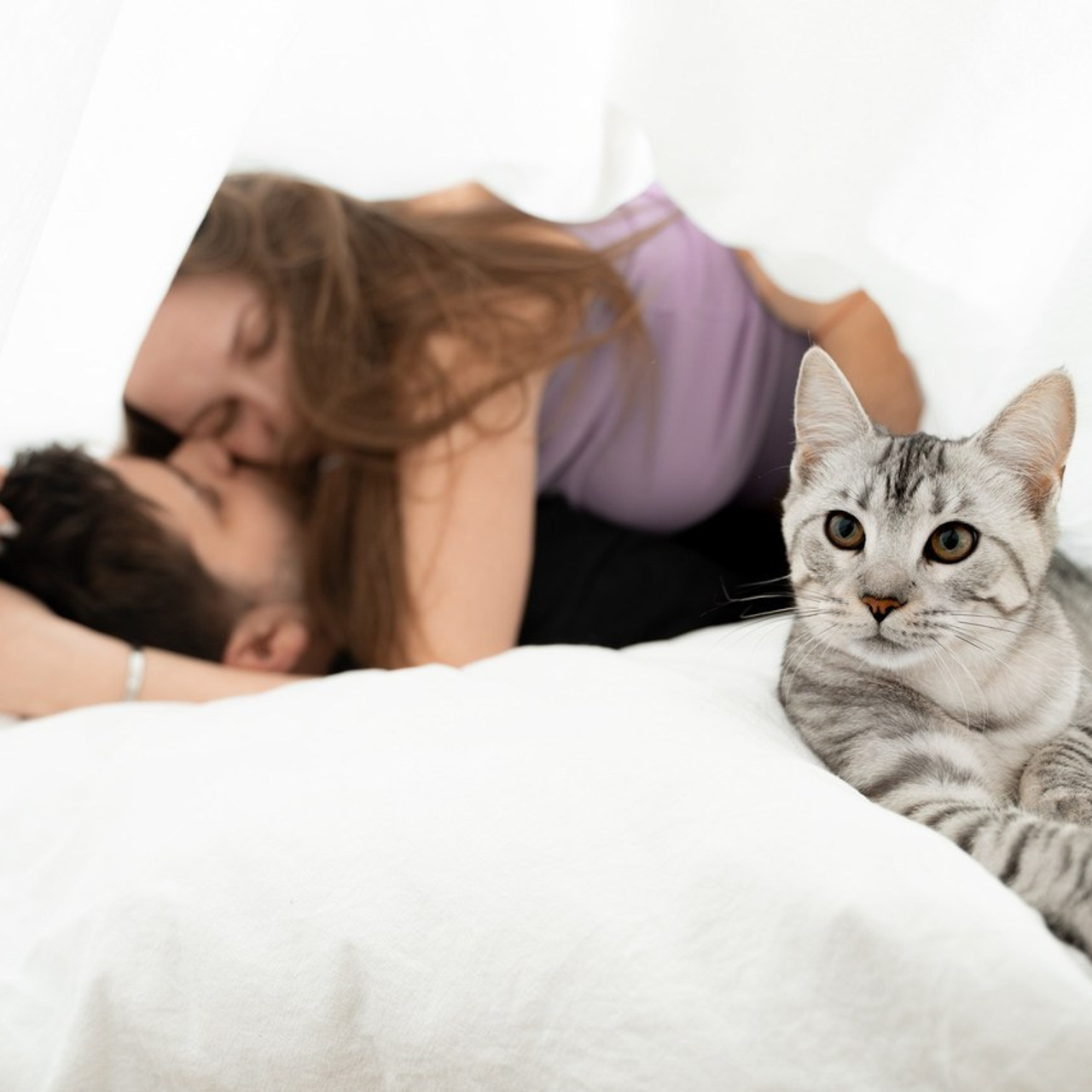 Отзывы. Фотограф Миланазавр