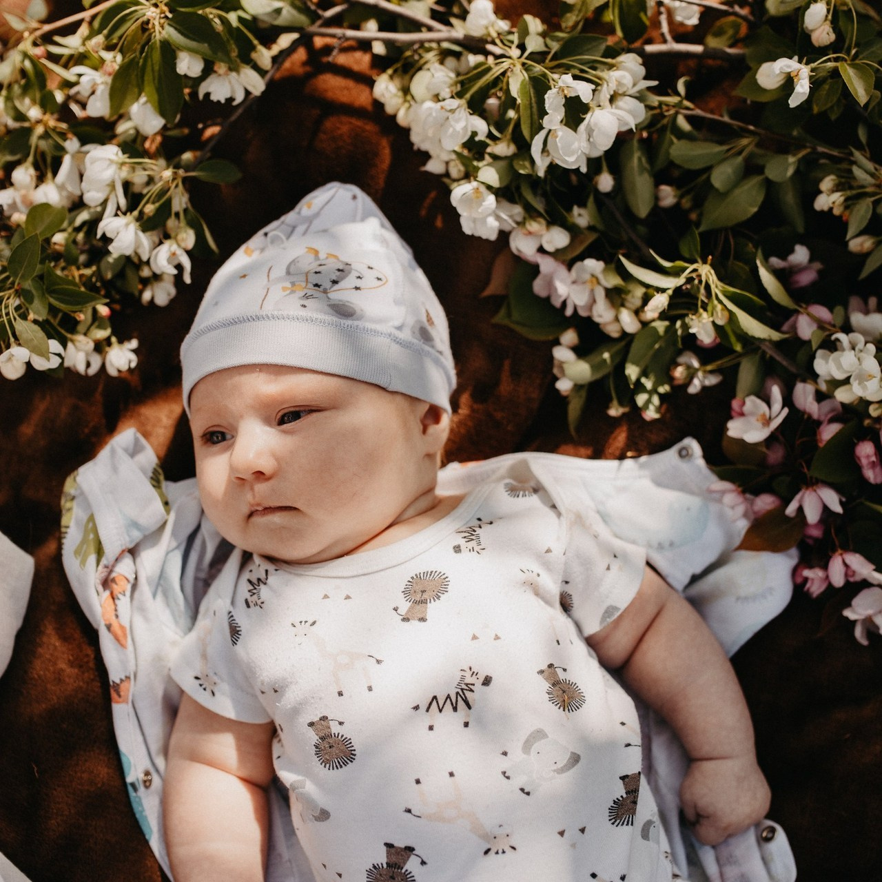 Отзывы. Семейный фотограф Трусова Евгения в Екатеринбурге