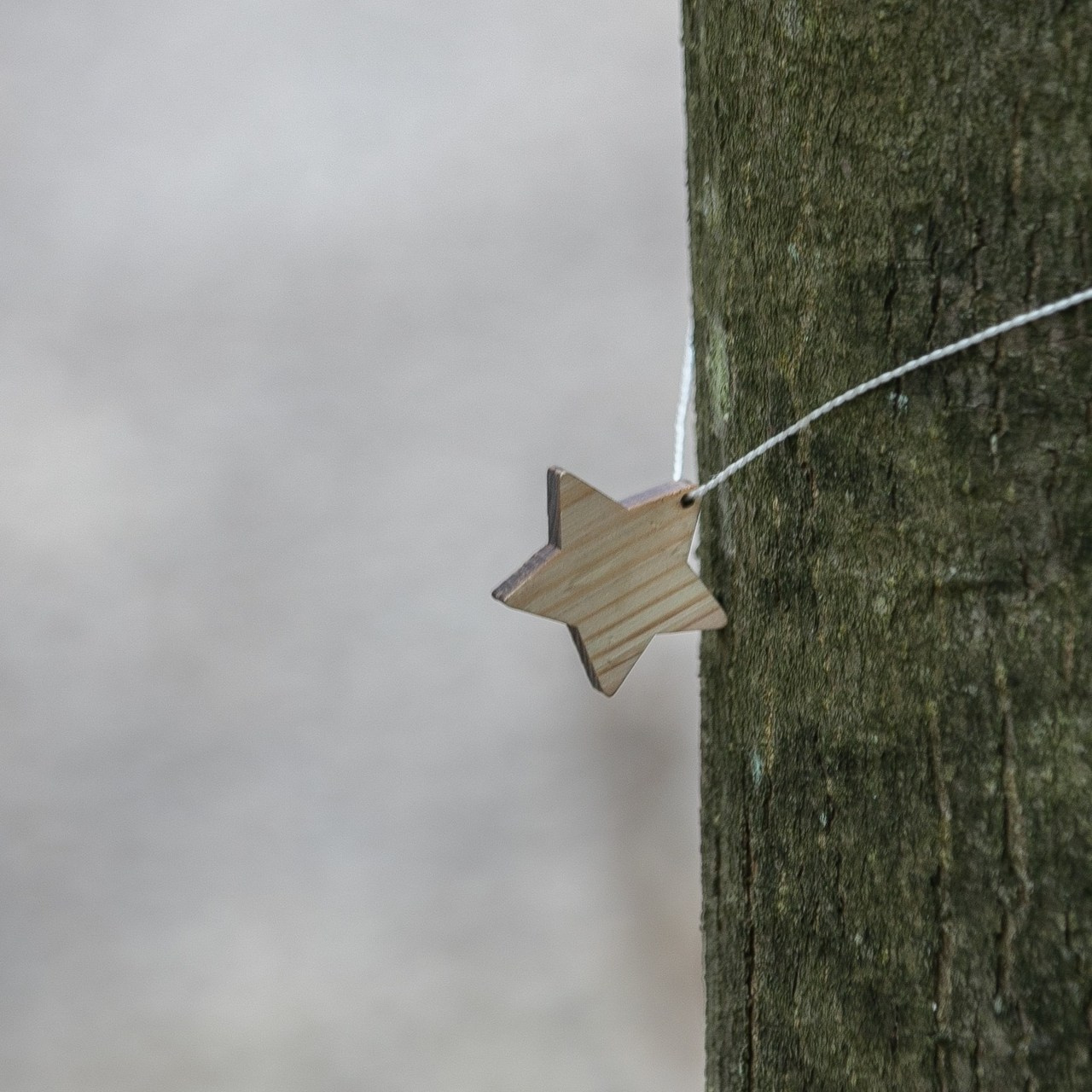 Отзывы. Семейный и детский фотограф в Москве Светлана Волкова