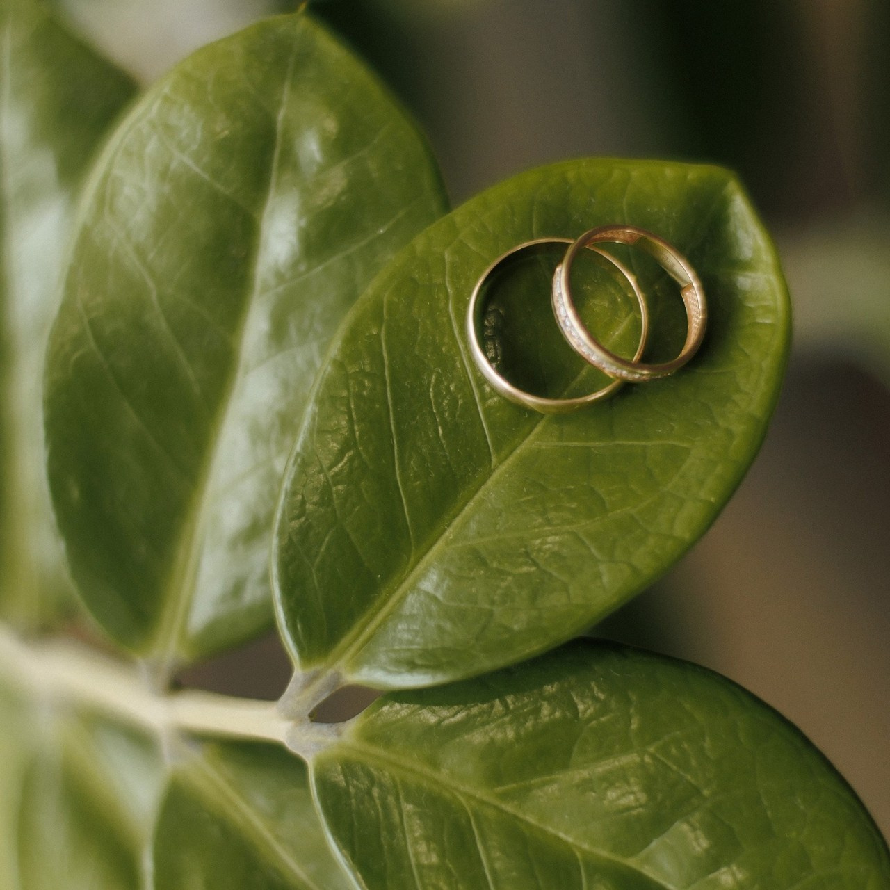 Отзывы. Свадебный и репортажный фотограф Евгений Петров