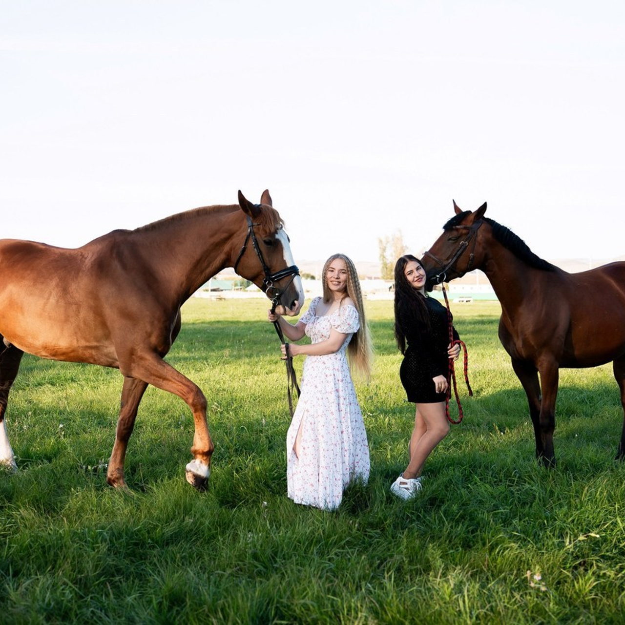 Отзывы. Свадебный Фотограф Абакан