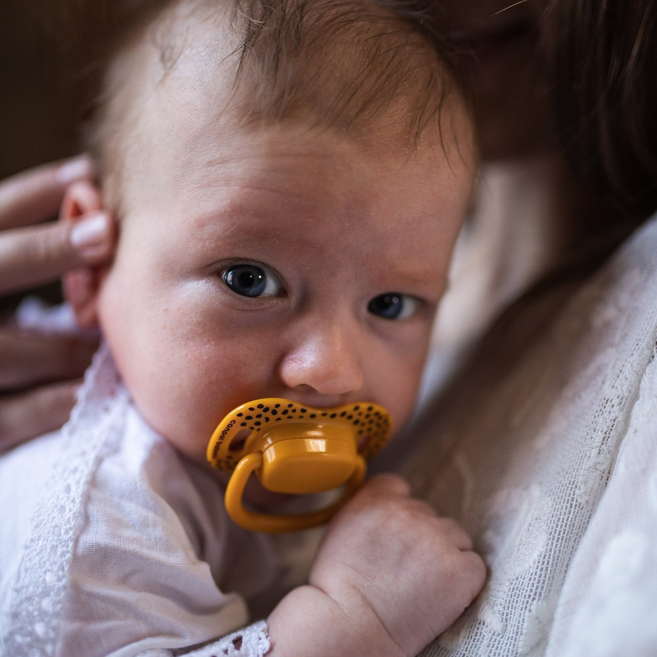 Отзывы. Семейный фотограф в Москве Татьяна Головина