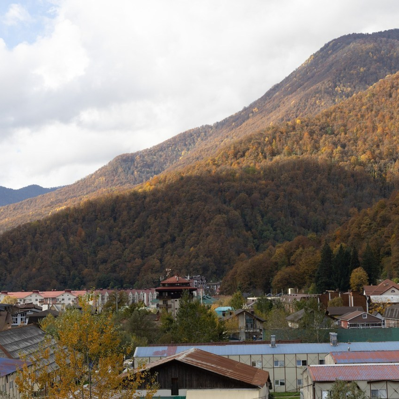 Отзывы о съемках и фотографии. Профессиональный фотограф в Сочи Виктор Павлюткин
