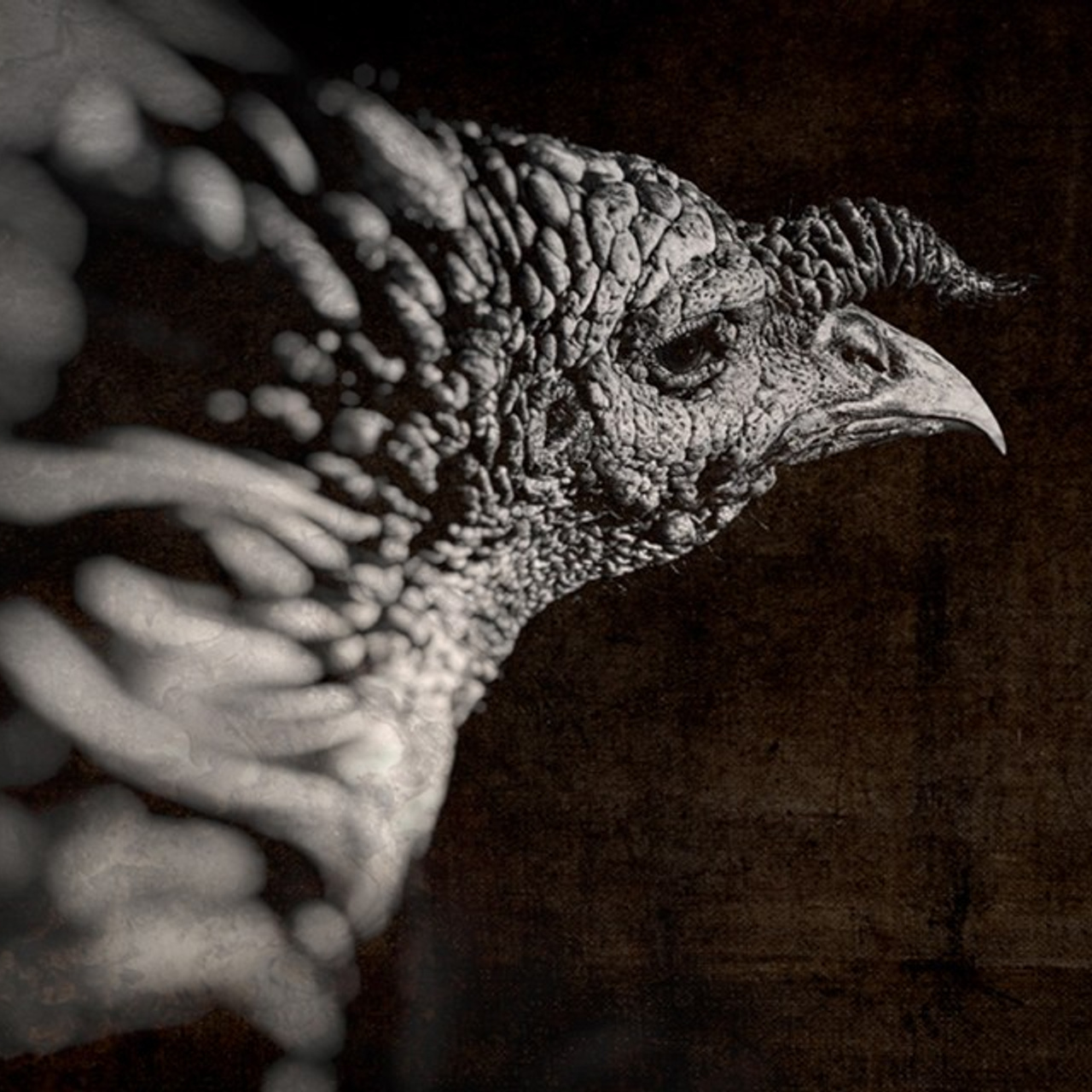 PORTFOLIO. Visual artist and photographer Alexandra Muravyeva