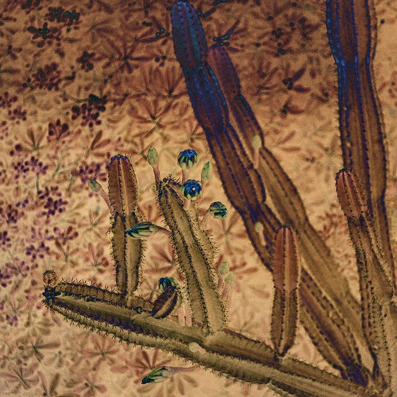 PORTFOLIO. Visual artist and photographer Alexandra Muravyeva