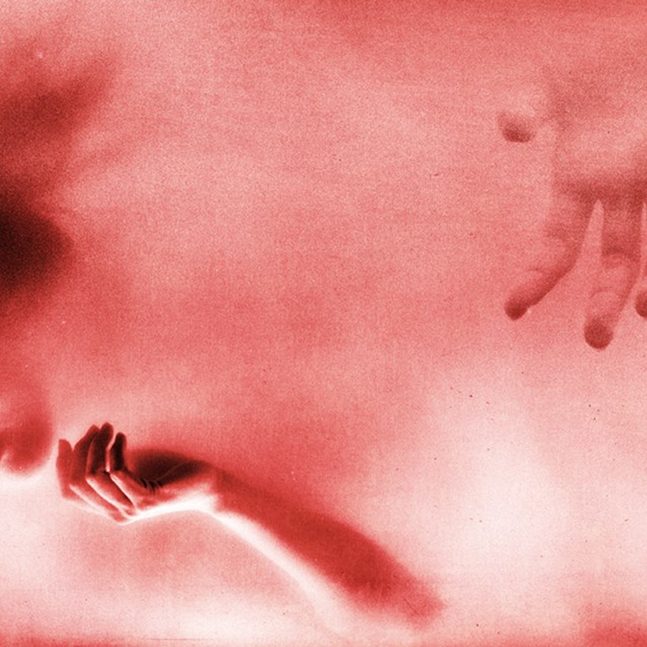 PORTFOLIO. Visual artist and photographer Alexandra Muravyeva