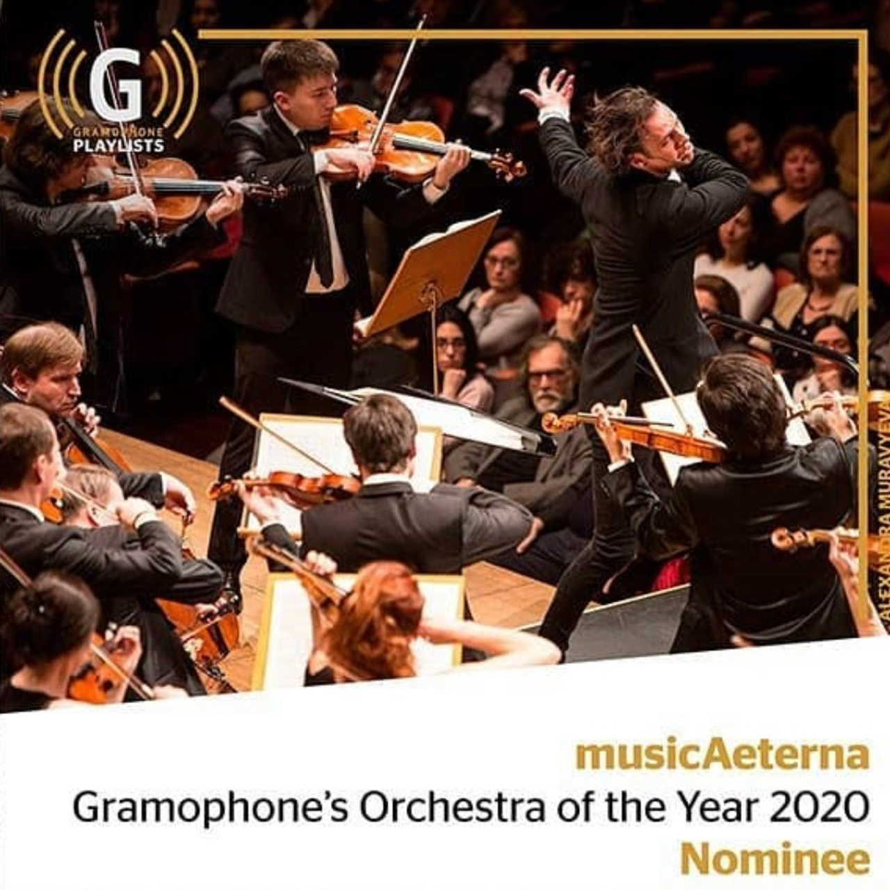 ABOUT ME. Visual artist and photographer Alexandra Muravyeva