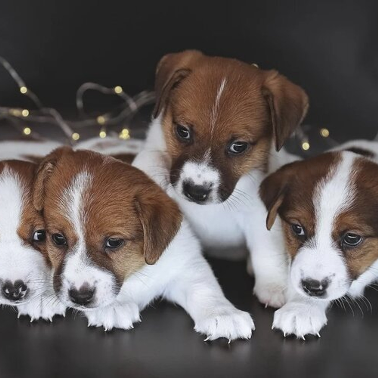 Отзывы клиентов. Рекламный и предметный фотограф в Санкт-Петербурге Мария Ерикина