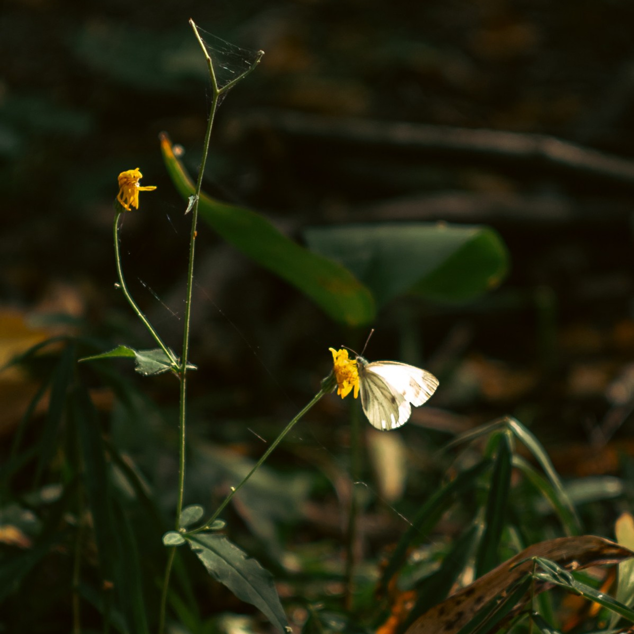 Сентябрь 2025