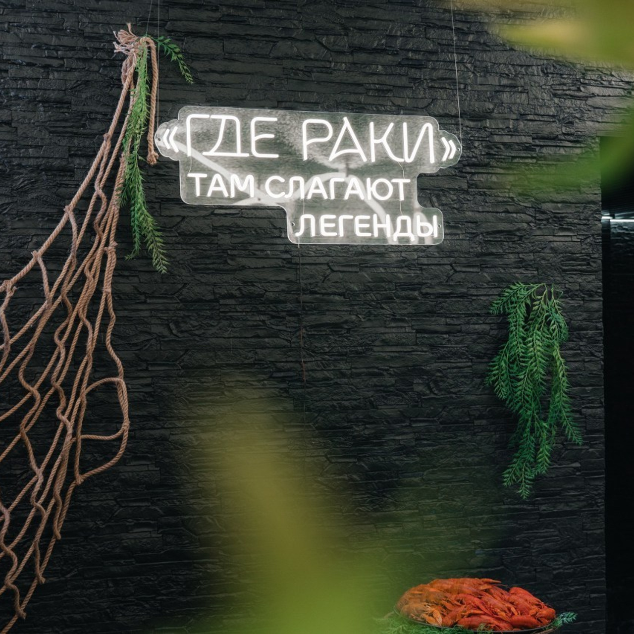 Отзывы. Фотограф в Барнауле Алеева Екатерина