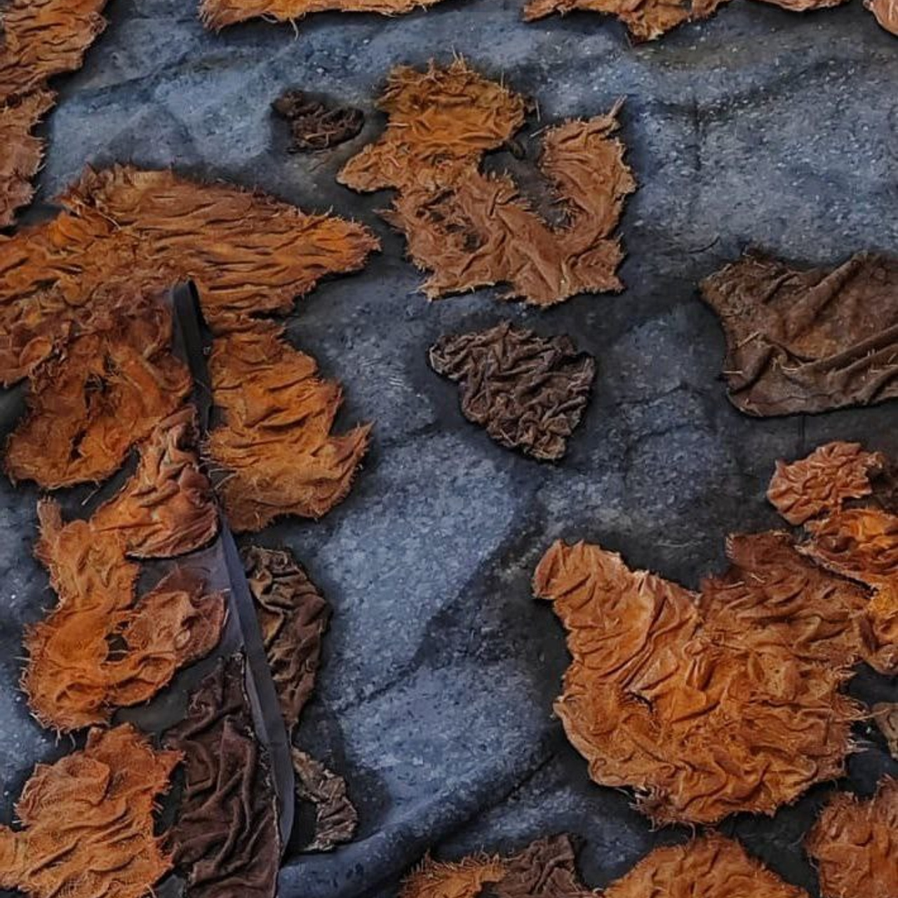 Декорации для оперы «Грозовой перевал» | Фестиваль «Херсонес». История занавеса. Превращаем идею в технологию