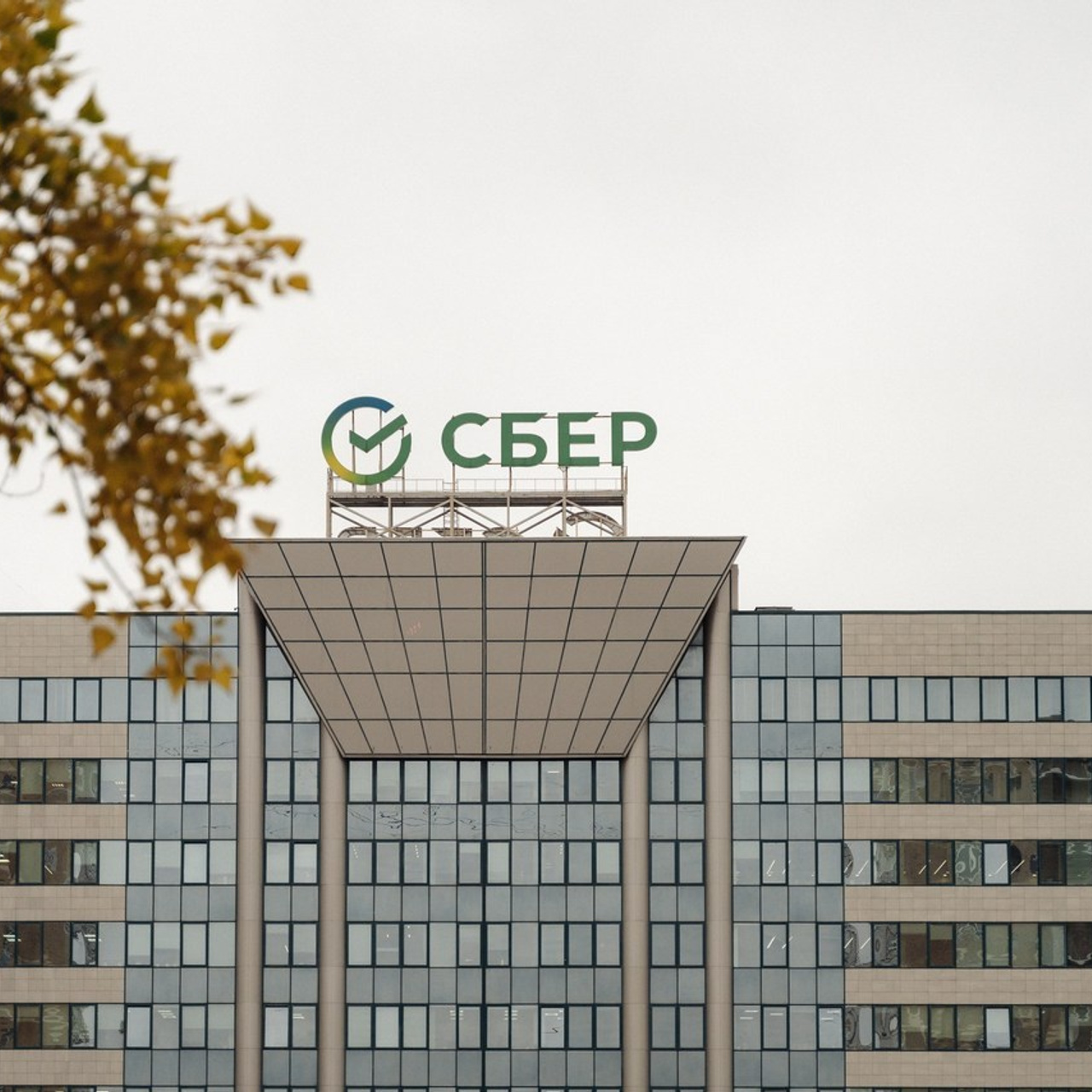 Свадебный фотограф ростов на дону. Свадебный фотограф  Ростов-на-Дону Моска, Санкт — Петербург