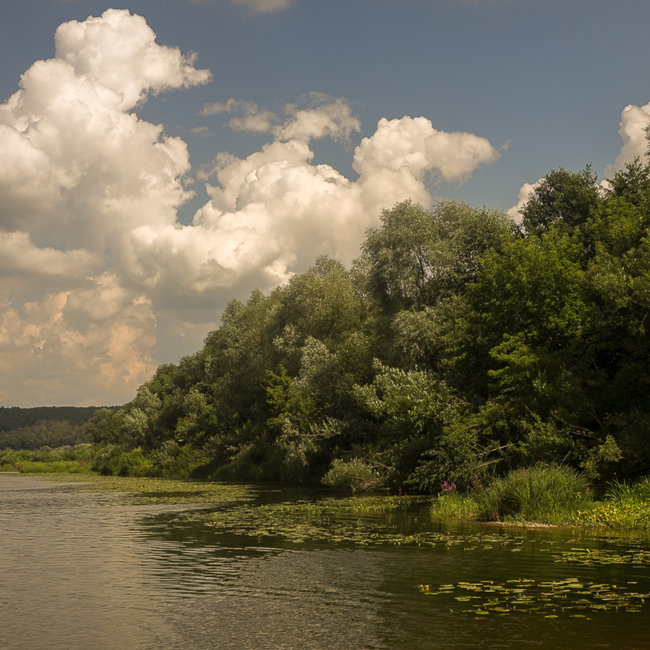Фотографии природы