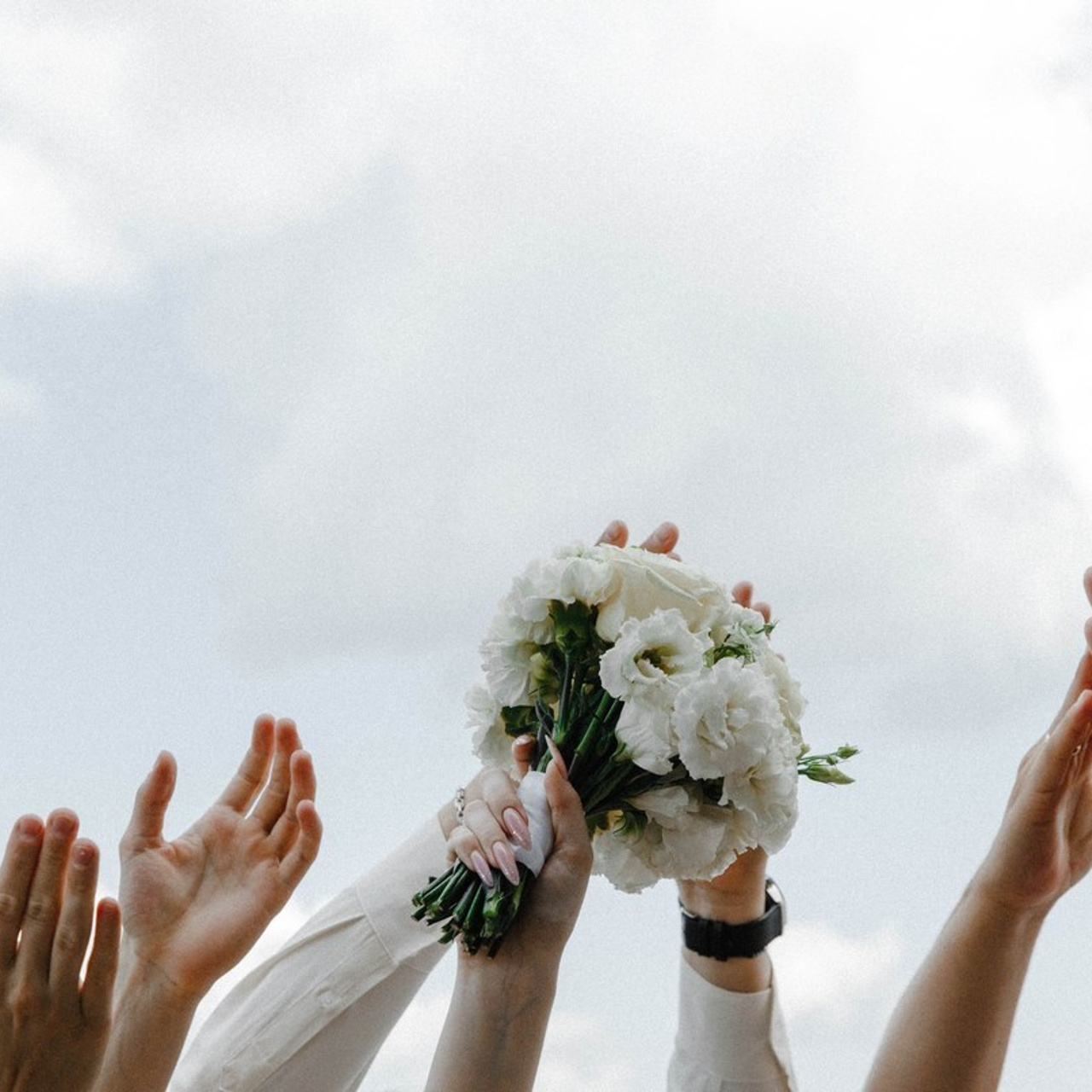 Отзывы. VOLOCHKOVA