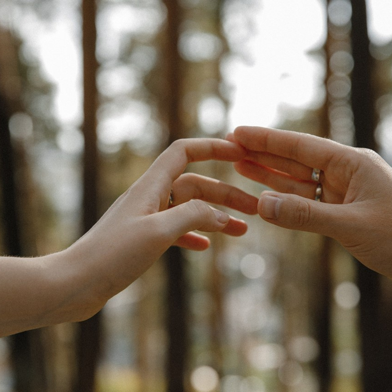 Отзывы. VOLOCHKOVA