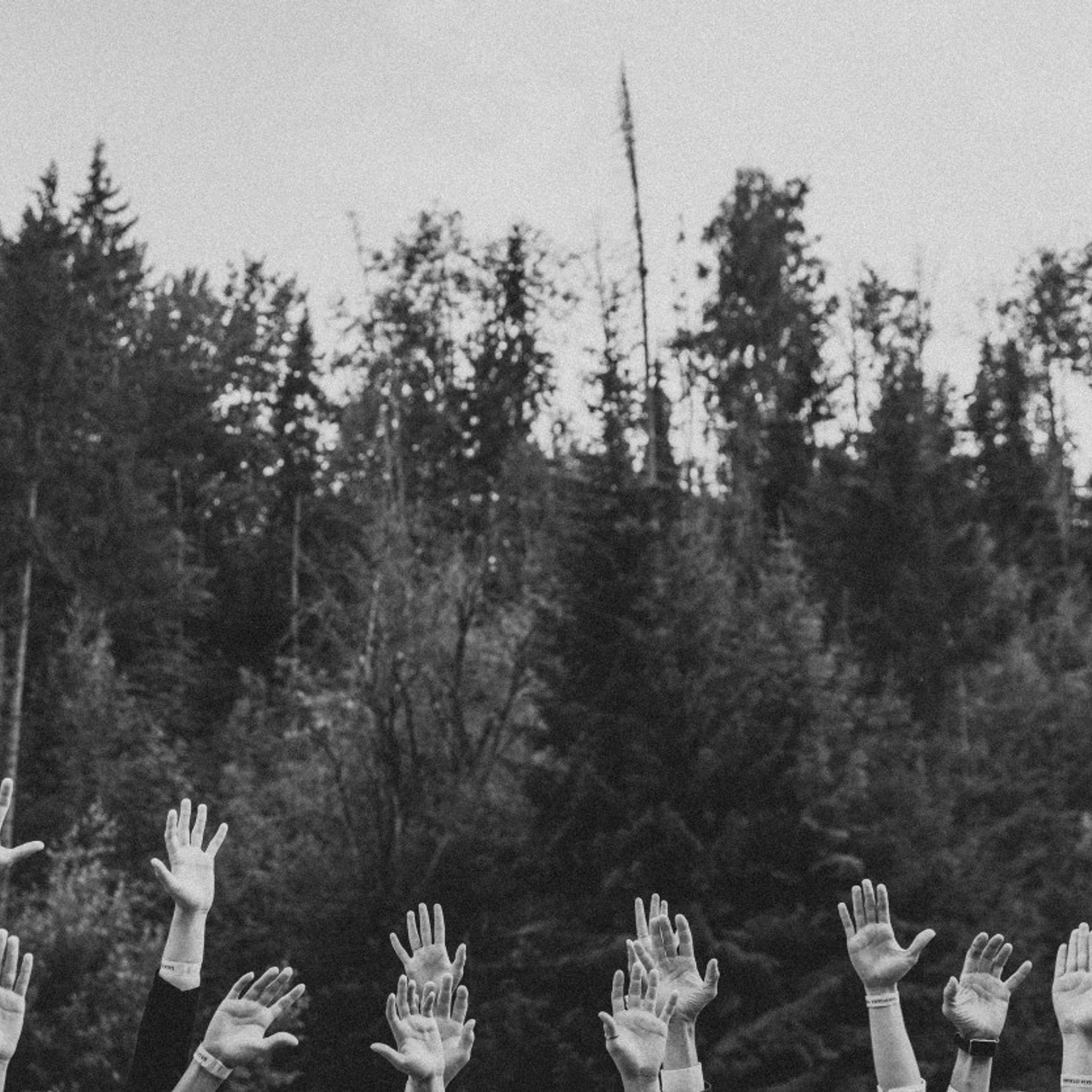 Отзывы. VOLOCHKOVA