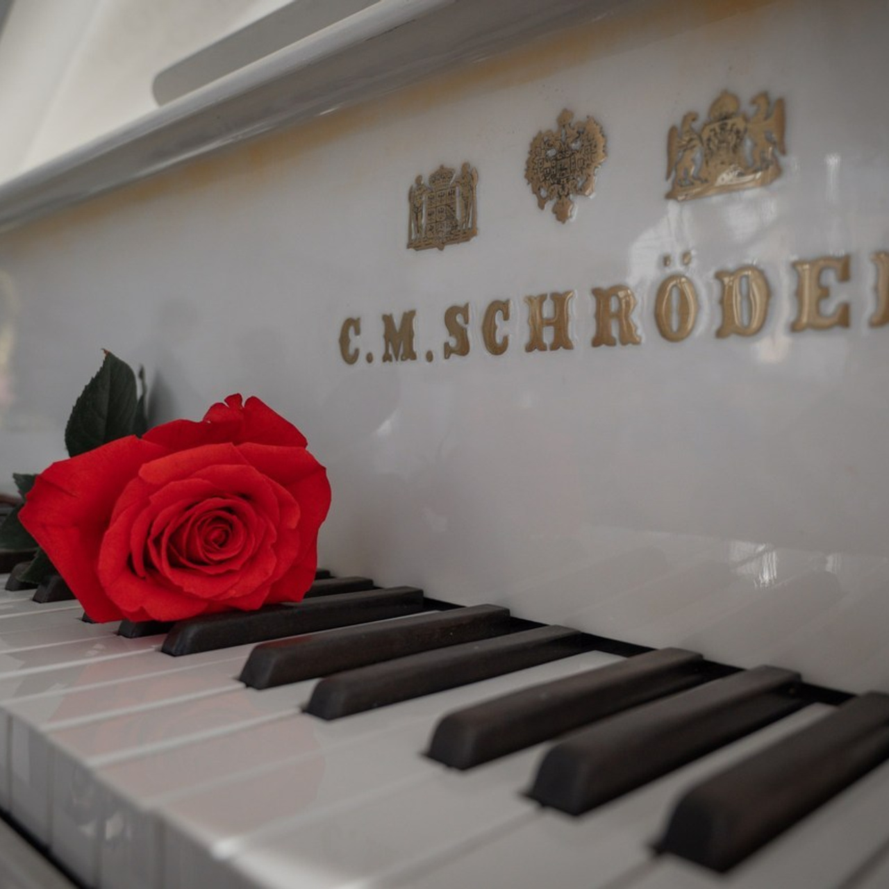 Отзывы. Свадебный и семейный фотограф в Санкт-Петербурге Ледовских Александр,