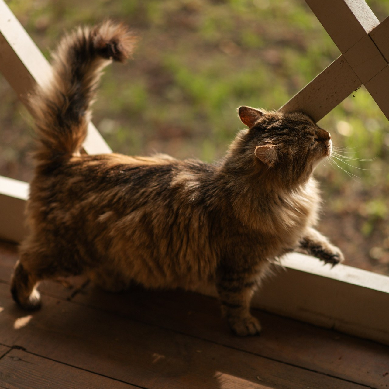 Отзывы. Свадебный фотограф в Москве Юлия Лисой