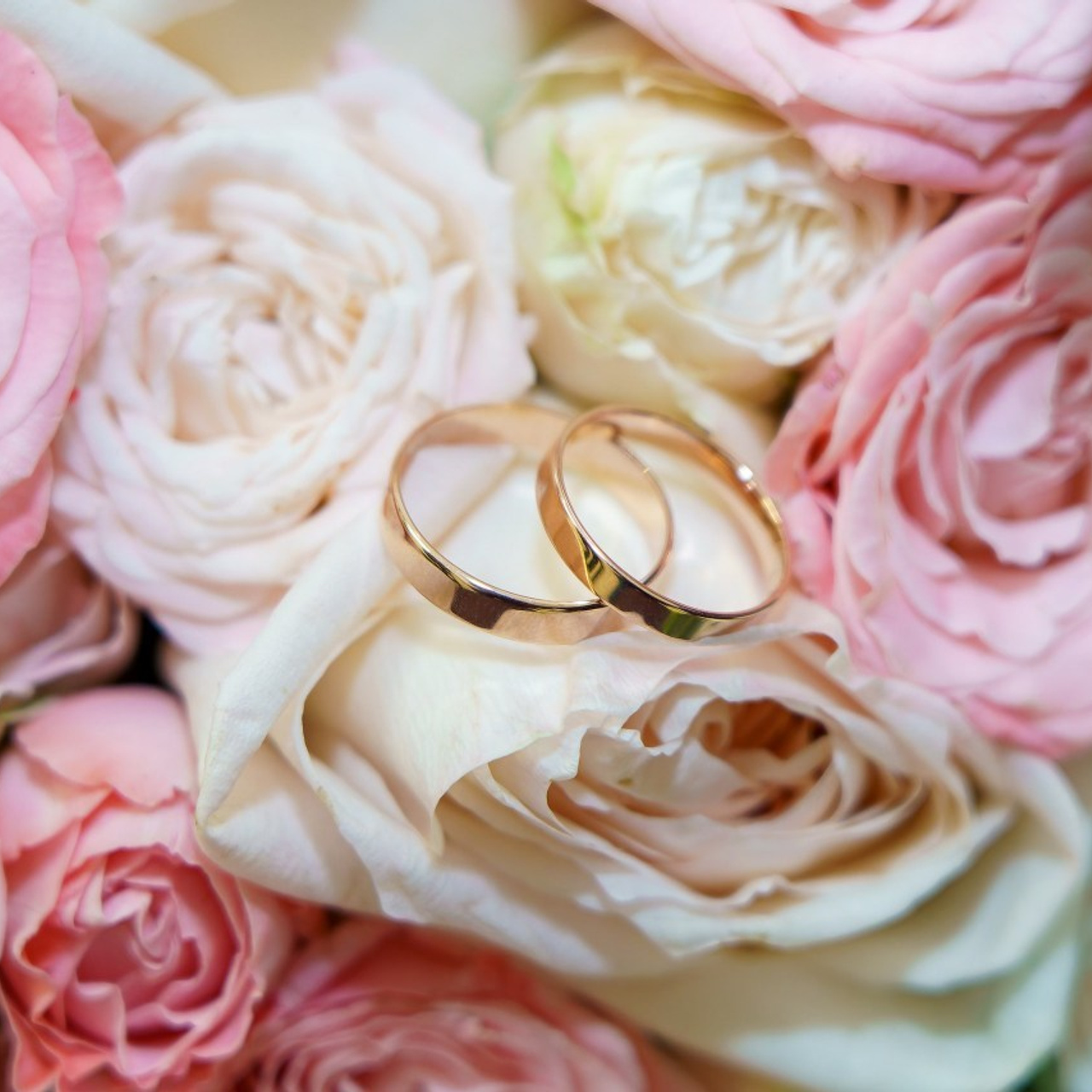 Страница отзывов о нашей работе. «Студия DRONAVT`s» — видеосъёмка и фотография г. Москва