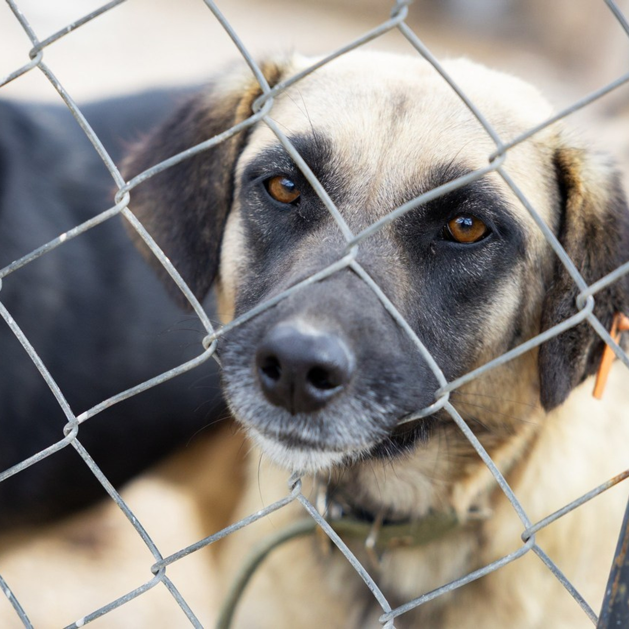 Отзывы. Событийный и портретный фотограф в Москве — Адам Черноуски