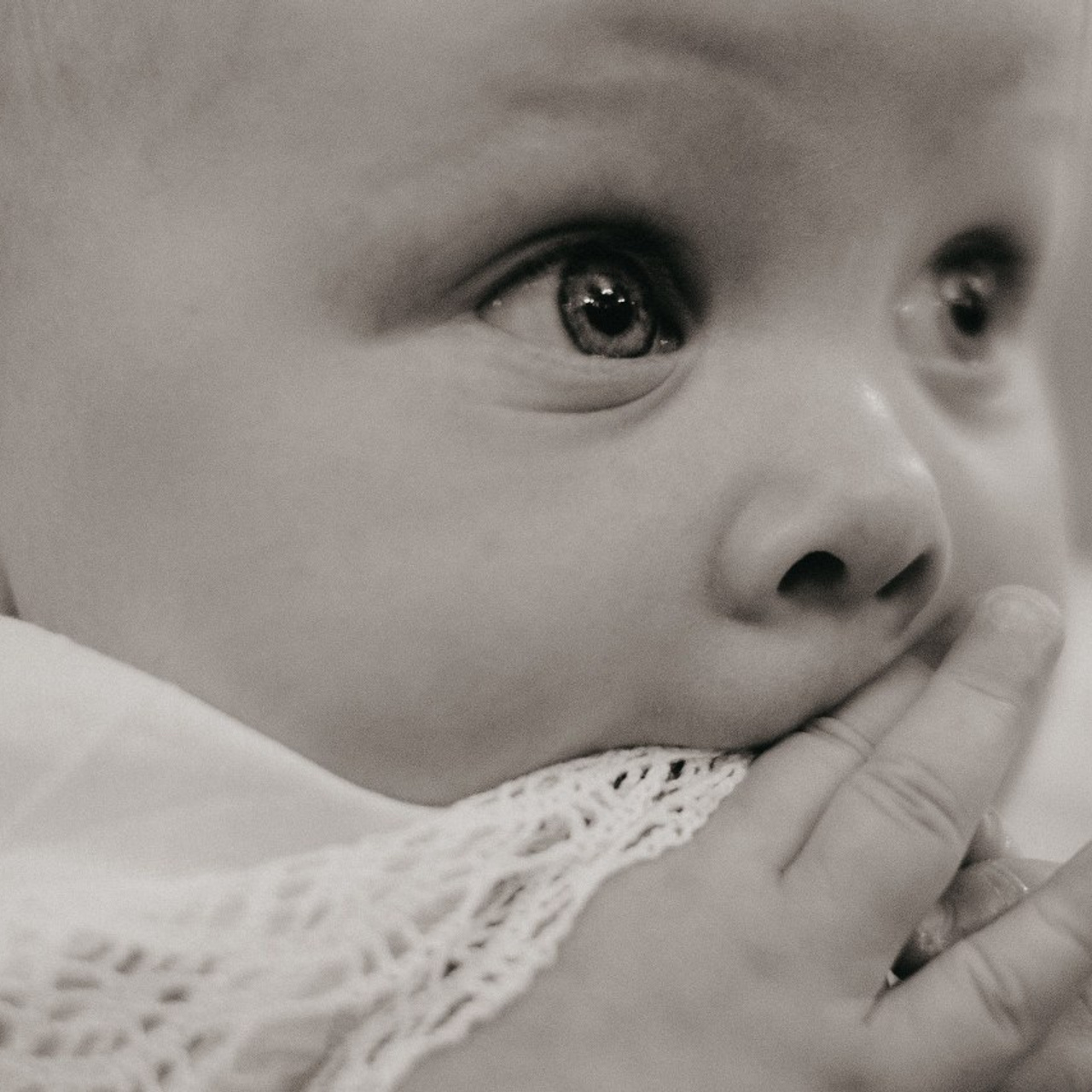 Отзывы о фотографе Алексей Дряхлов