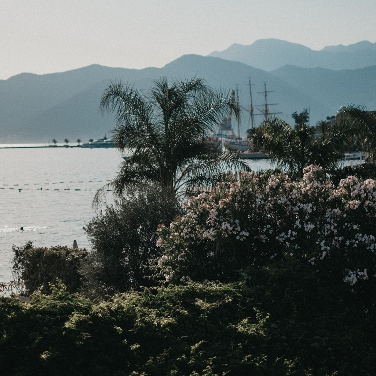 Отзывы о фотографе Алексей Дряхлов