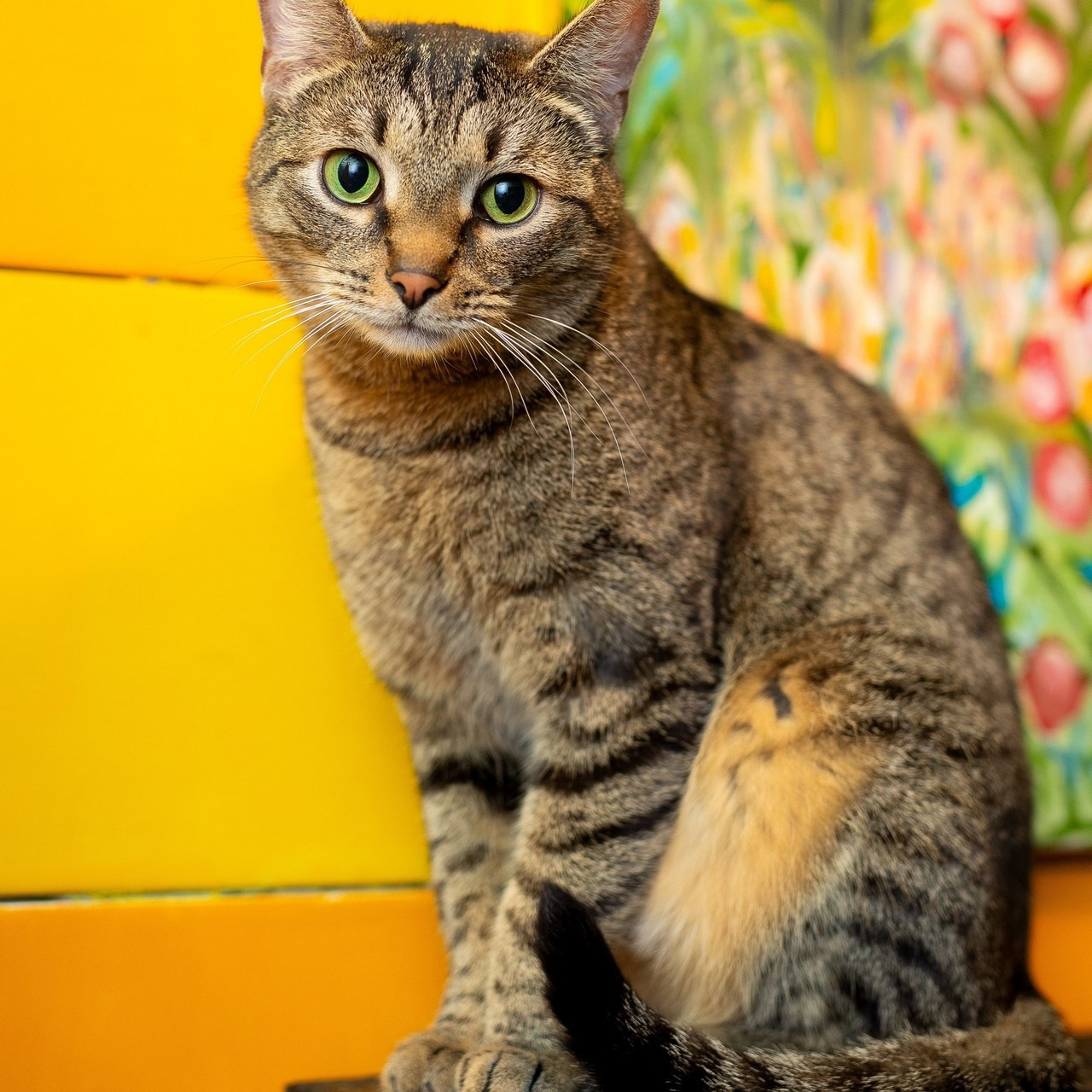 Отзывы. Главная