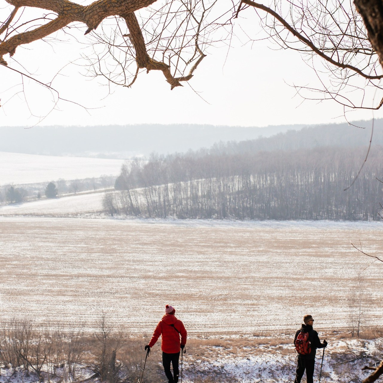 Отзывы. Семейный фотограф в Москве Жукова Анна
