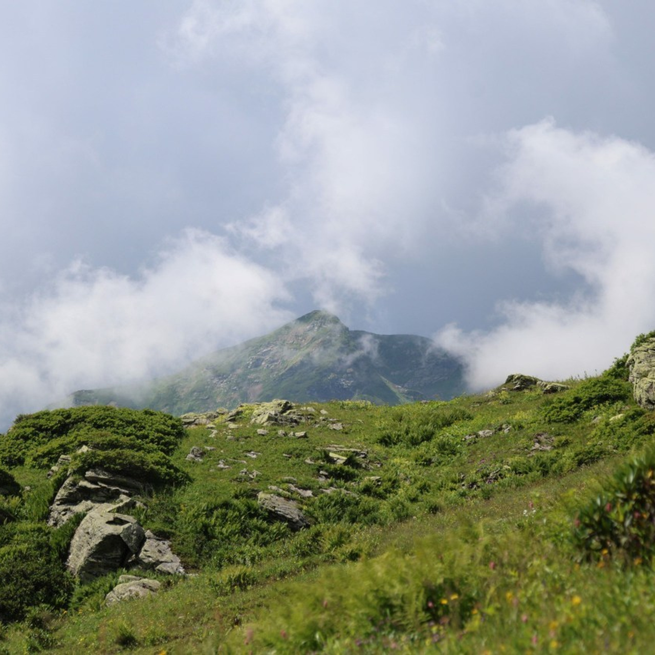 Отзывы. Фотограф в Санкт-Петербурге и Москве Макс Спектор