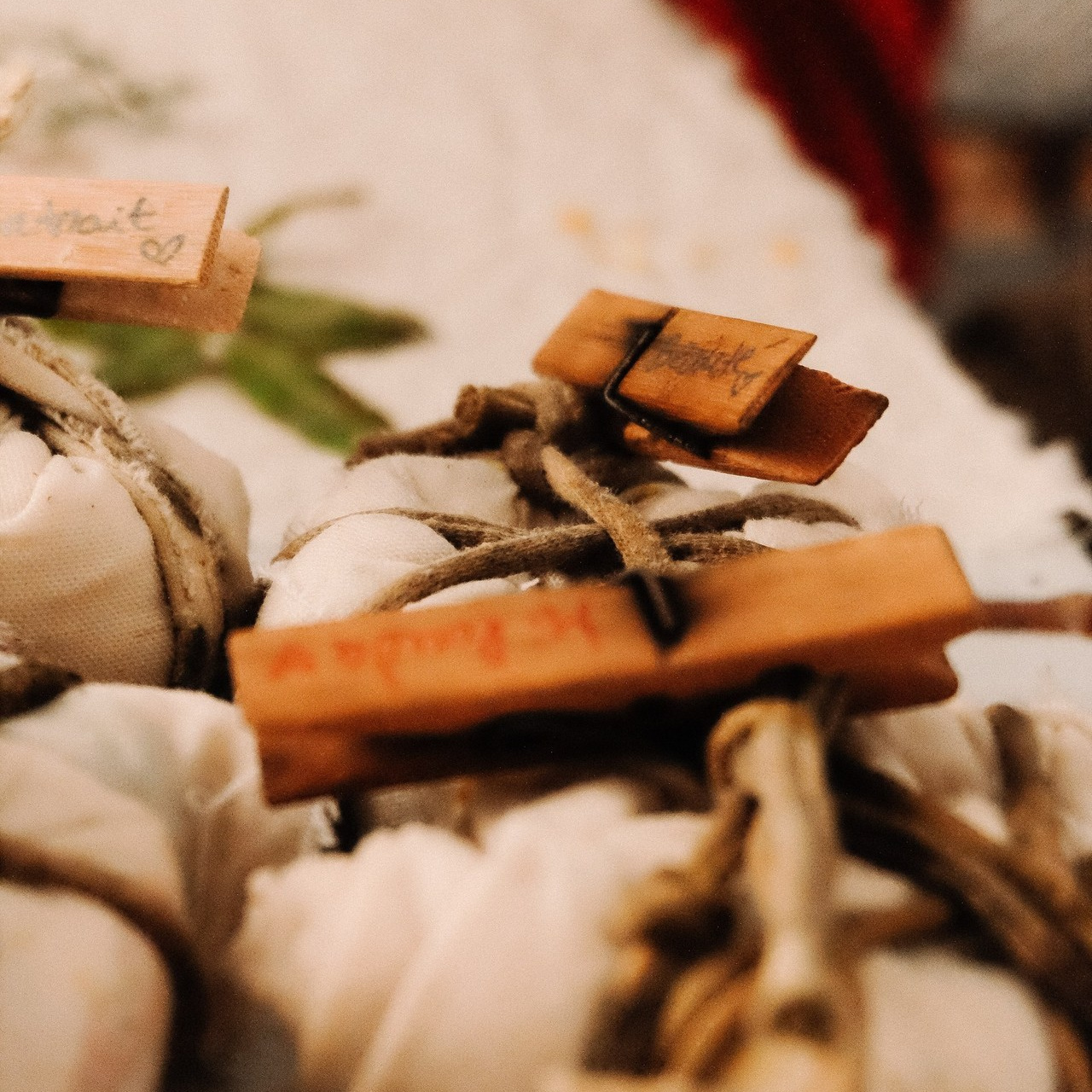 FEEDBACK. Olga Popova — Photographer in Morocco