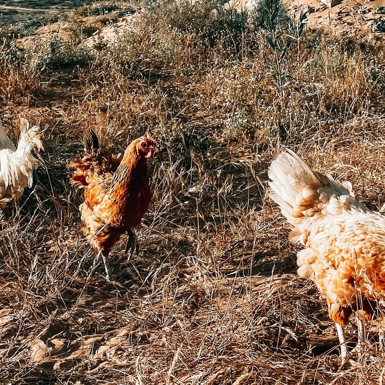 FEEDBACK. Olga Popova — Photographer in Morocco