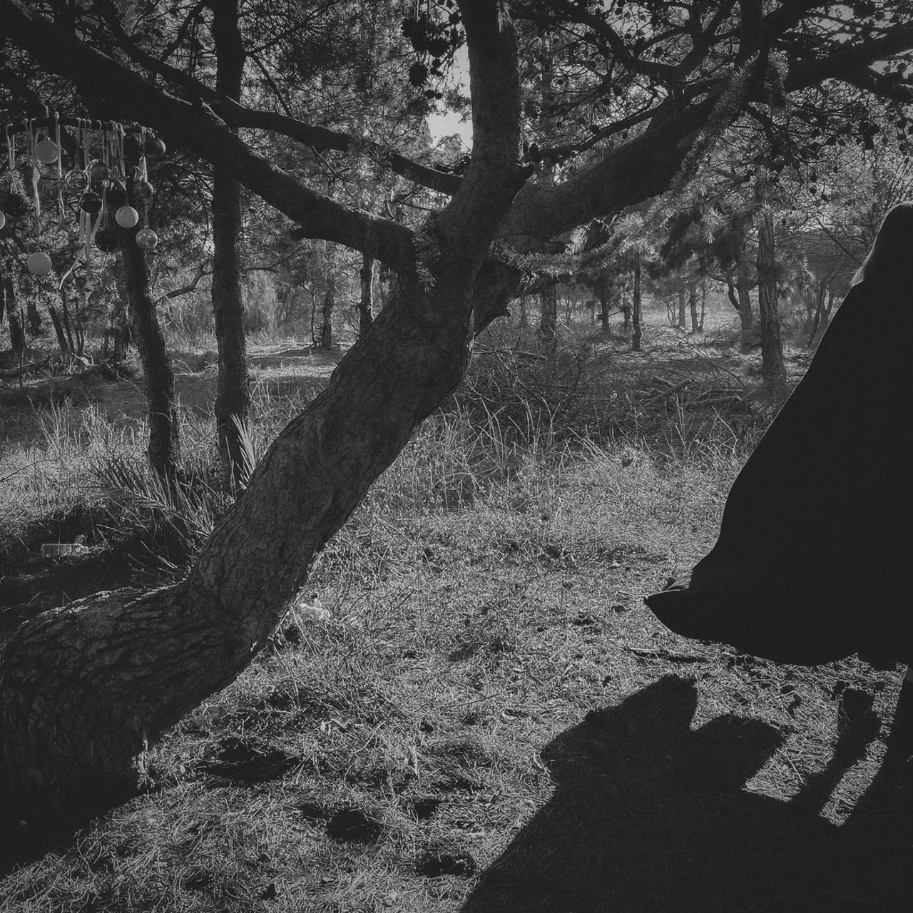 FEEDBACK. Olga Popova — Photographer in Morocco