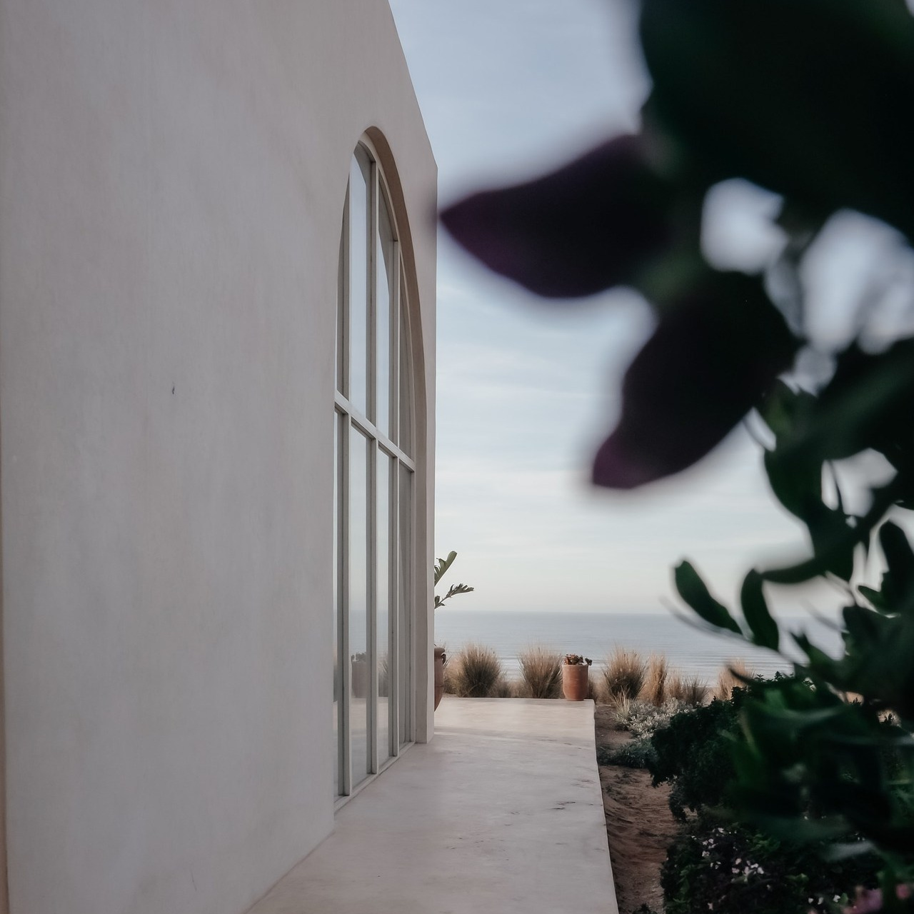 FEEDBACK. Olga Popova — Photographer in Morocco