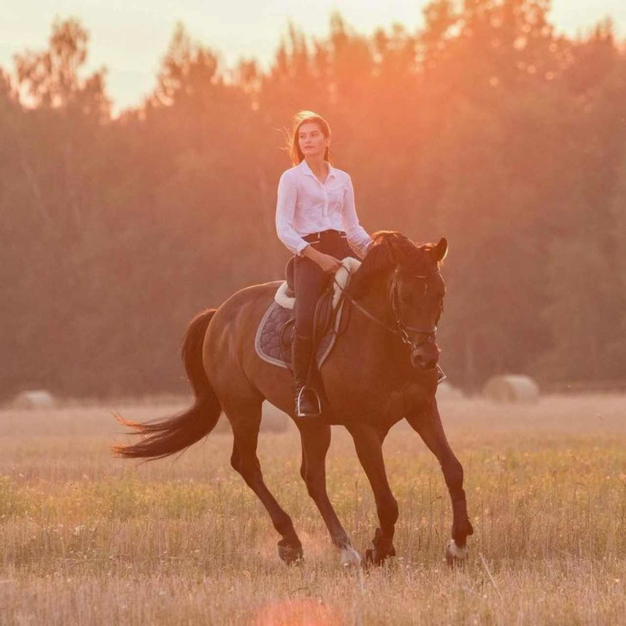 Фотосессии с лошадьми. Wixmort | photographer Polina Soldatova