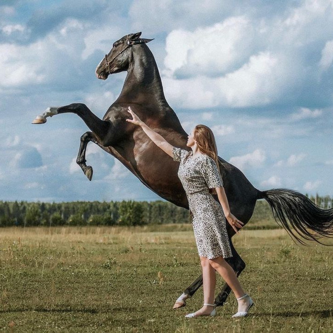 Фотосессии с лошадьми. Wixmort | photographer Polina Soldatova