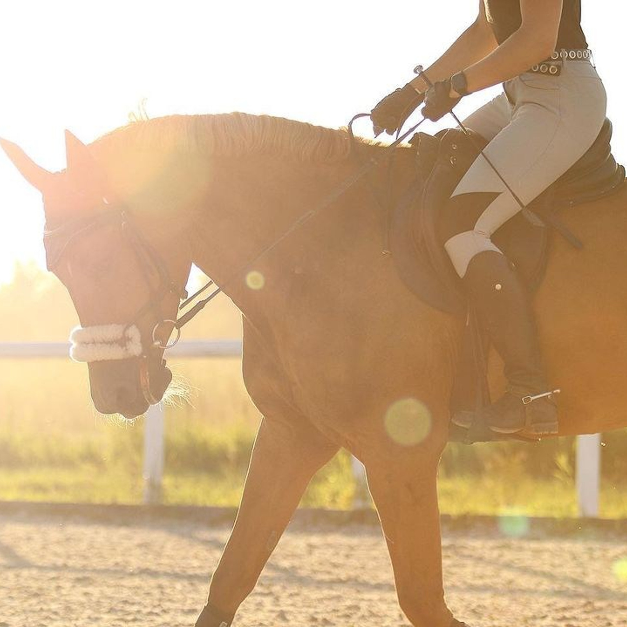 Фотосессии с лошадьми. Wixmort | photographer Polina Soldatova