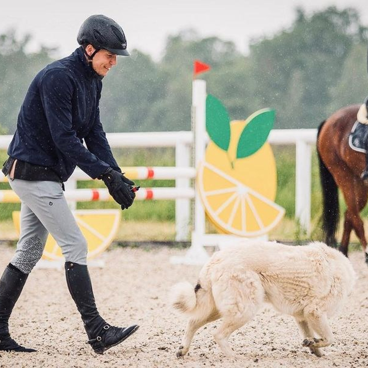 Фотосессии с лошадьми. Wixmort | photographer Polina Soldatova