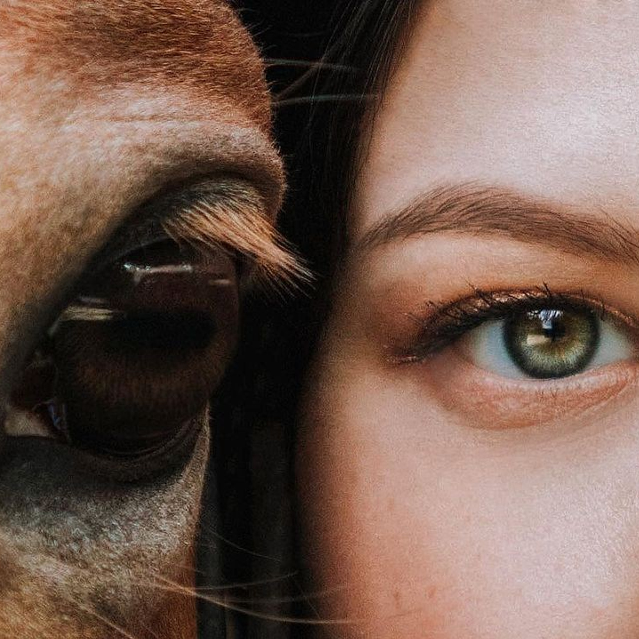 Фотосессии с лошадьми. Wixmort | photographer Polina Soldatova