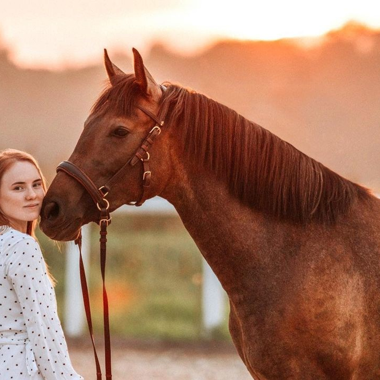 Фотосессии с лошадьми. Wixmort | photographer Polina Soldatova