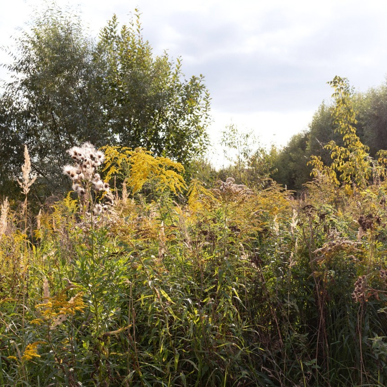 Отзывы. Портретный фотограф в Москве Елена Климовская