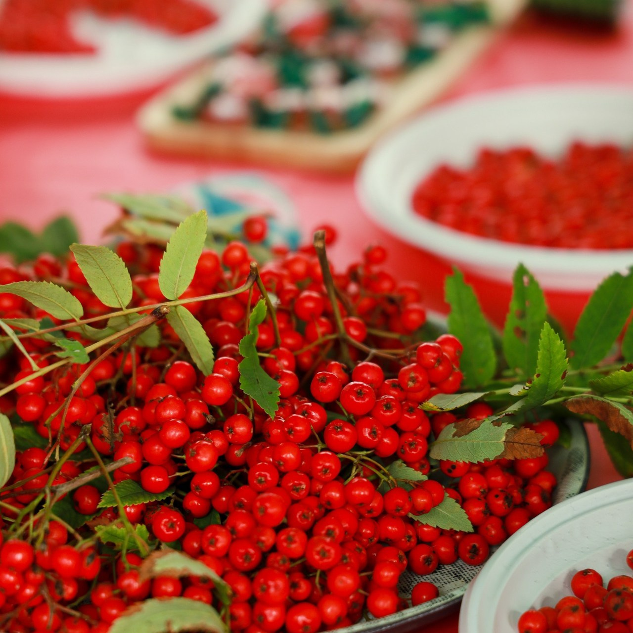 Отзывы. Фотограф Полярные Зори, Кандалакша, Мурманская область Мария Потапова