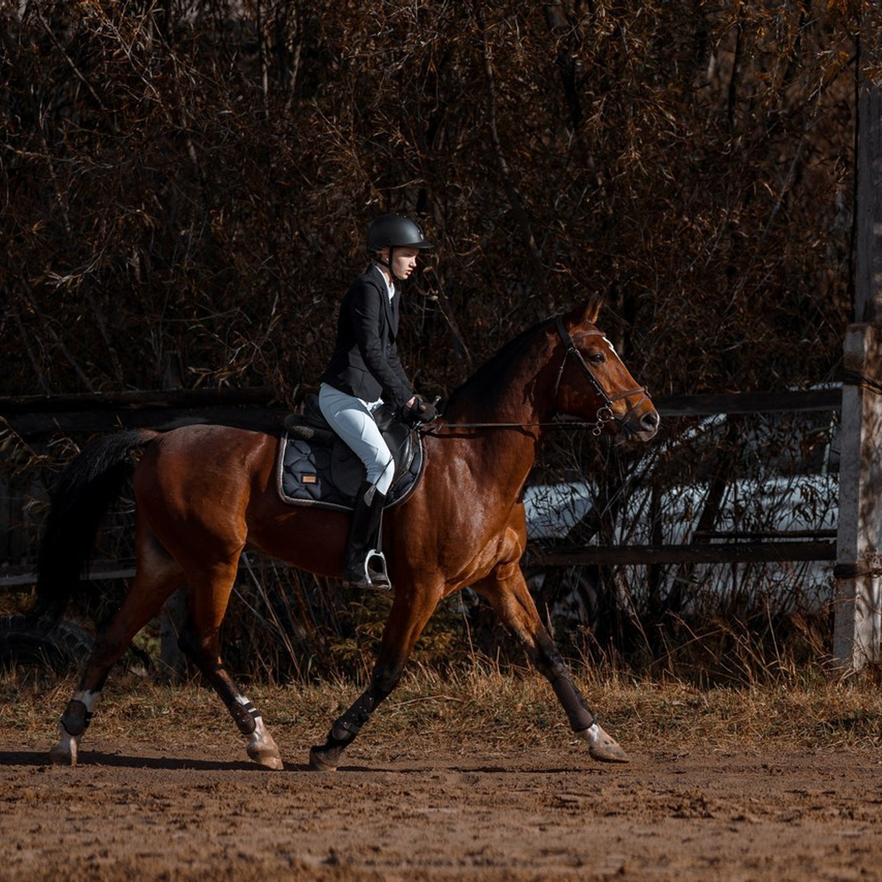 Отзывы. Фотограф Артемьева Катерина|фотосессии с лошадьми