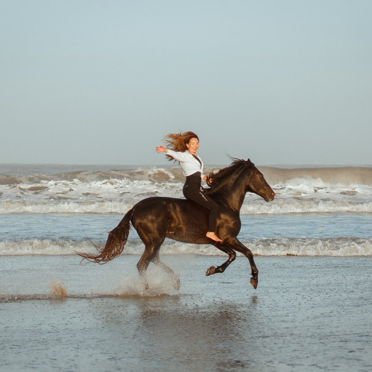 Отзывы. Фотограф Артемьева Катерина|фотосессии с лошадьми