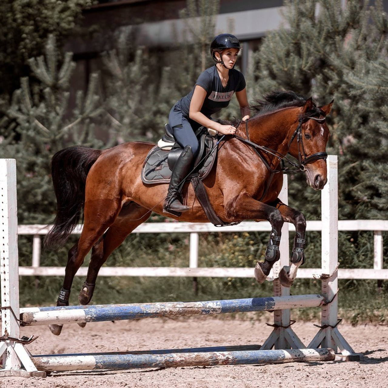 Отзывы. Фотограф Артемьева Катерина|фотосессии с лошадьми